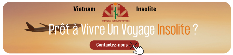 vietnaminsolite cta